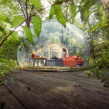 Camping Future Is Nature Playground Sala Biellese Zewnętrze zdjęcie