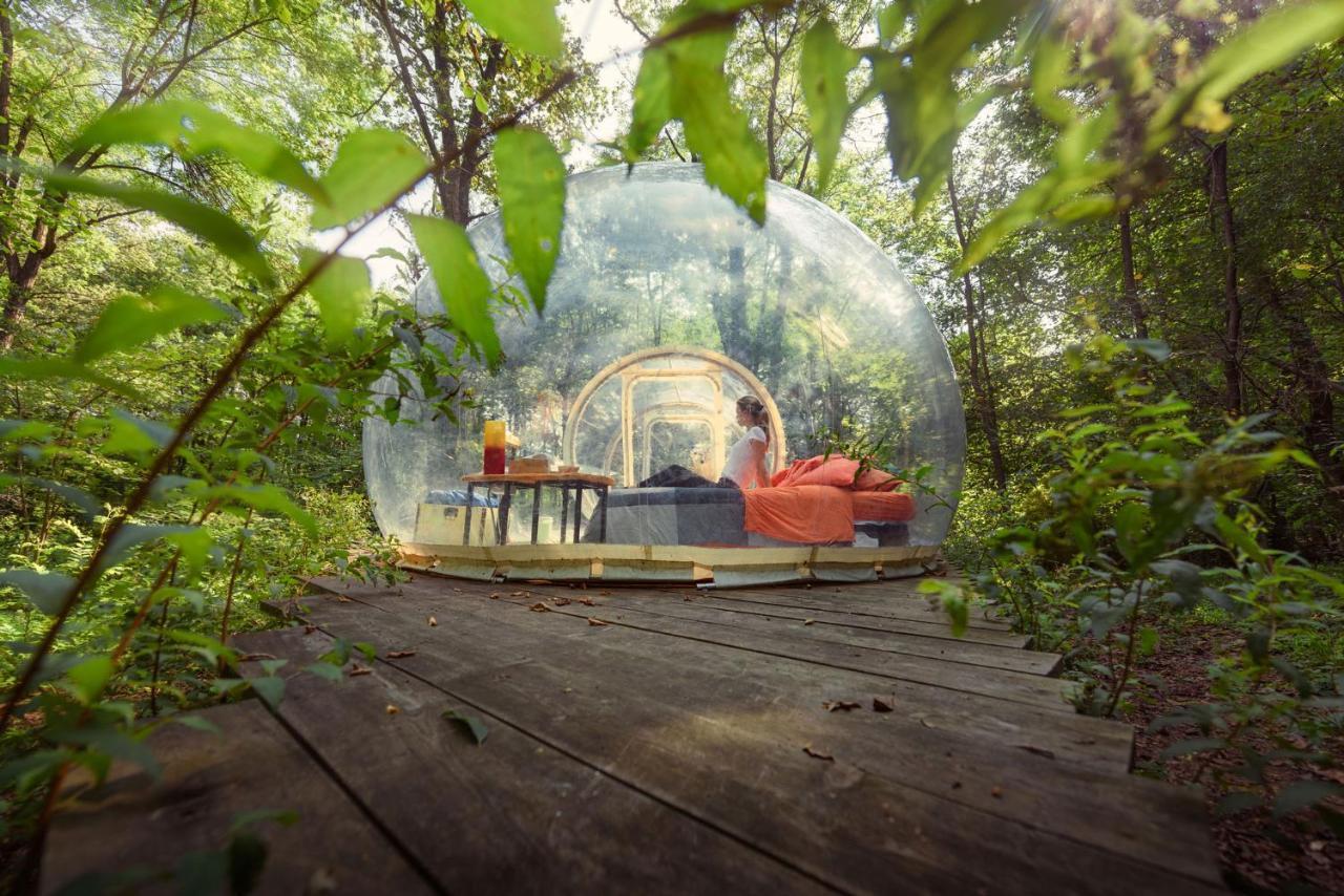 Camping Future Is Nature Playground Sala Biellese Zewnętrze zdjęcie